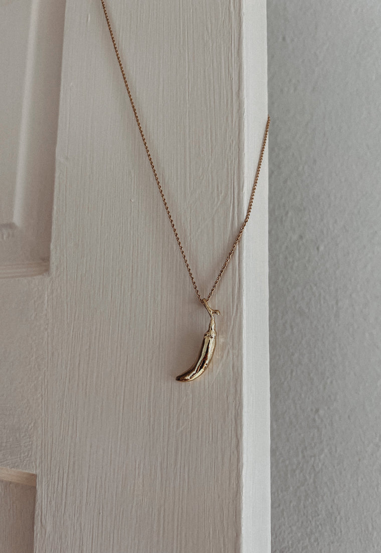 Heirloom Chili Pepper Necklace - Solid Brass