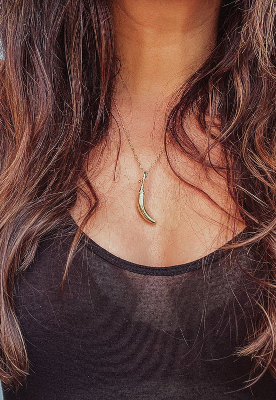 No gmo heirloom chili pepper solid brass necklace idylwild christie araujo